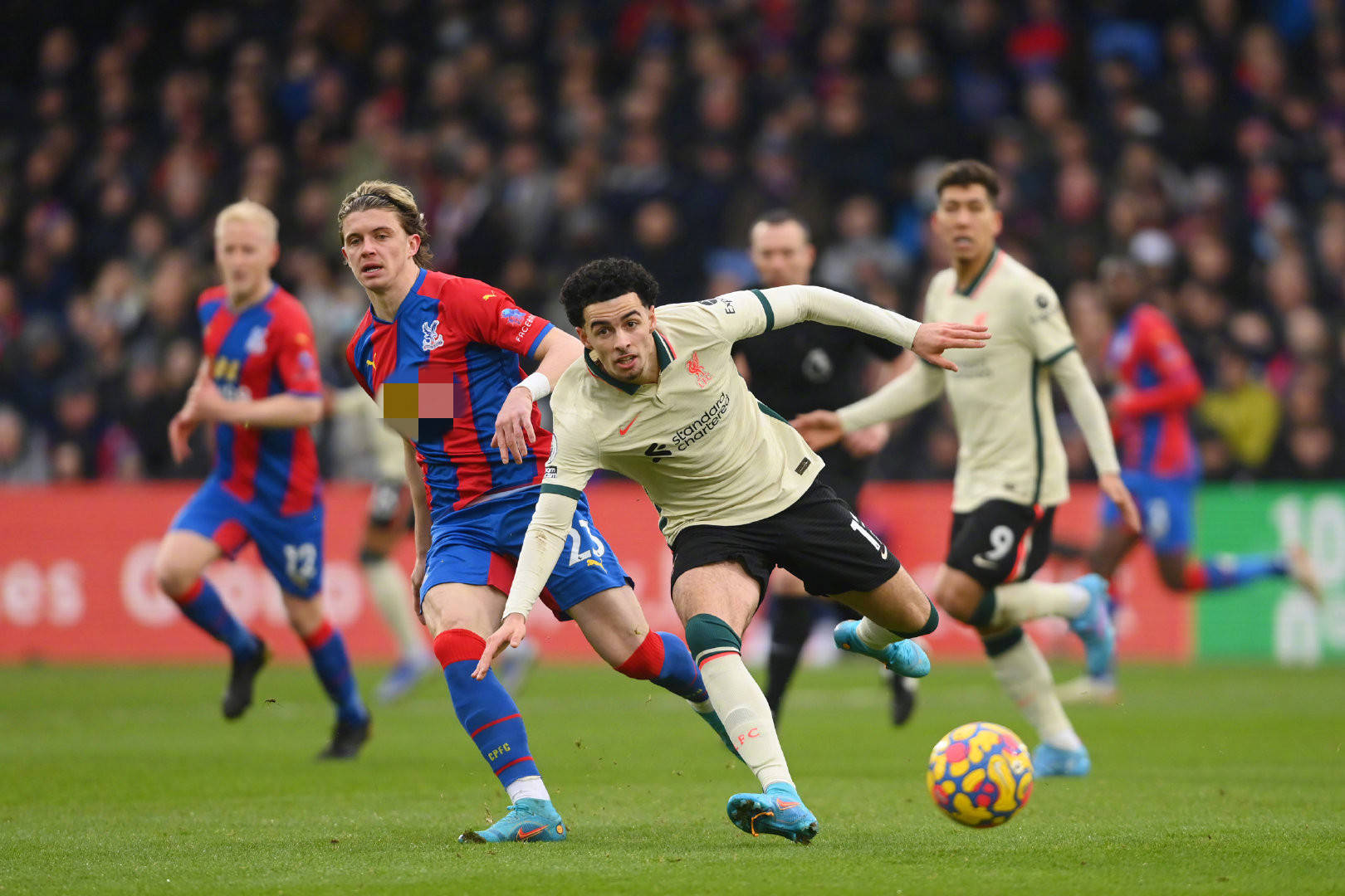 俱乐部基础 俱乐部基础