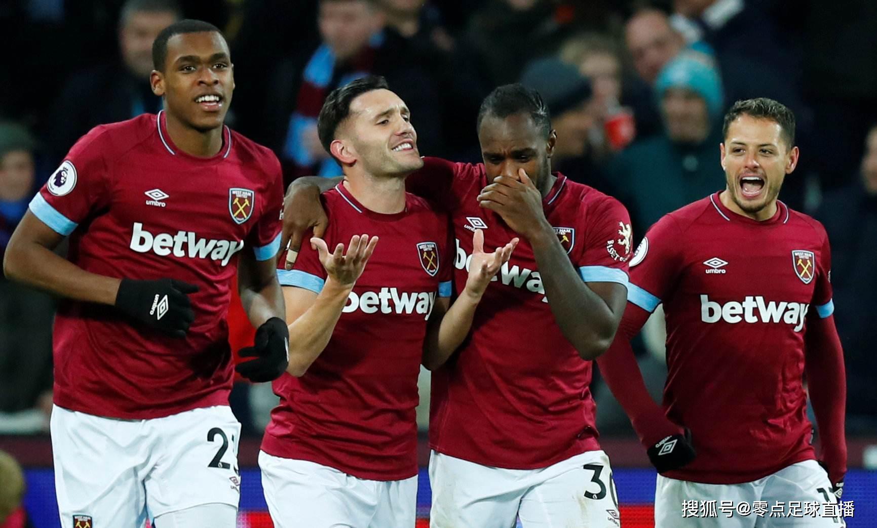 甲鱼突然张 甲鱼突然张